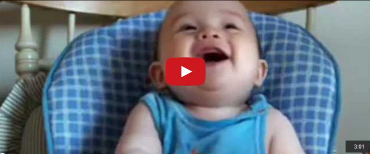 LE 10 RISATE PIU' CONTAGIOSE DEL WEB - PROVA A NON RIDERE - 04/04/2014