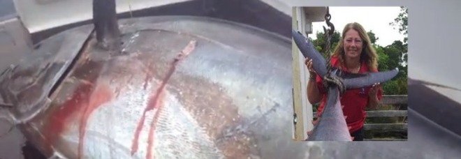 DONNA PESCA UN TONNO GIGANTE DA 400 KG: ''4 ORE DI LOTTA''. MA NON PUÒ VENDERLO - 20/04/2014