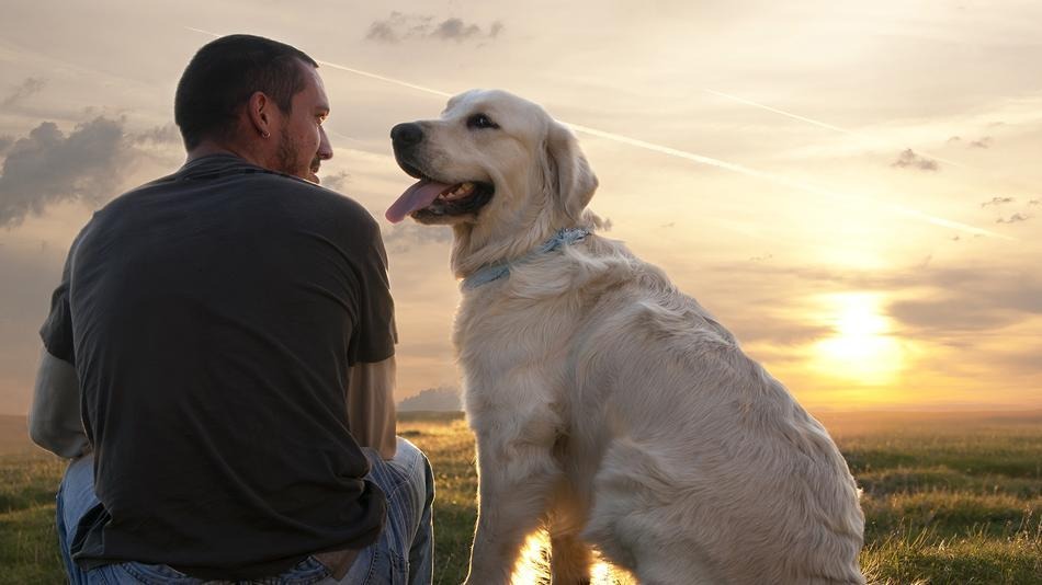 LA BELLISSIMA LETTERA DI UN CANE AL SUO ''PADRONE'' - LEGGETELA E' BELLISSIMA - 18/06/2014