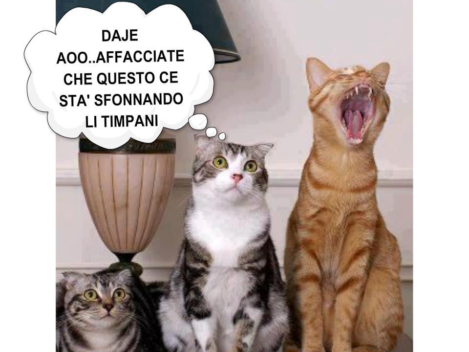 Vignetta Divertente - 28/11/2012