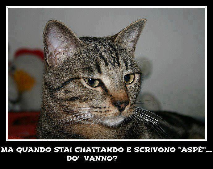 CHI ME 'O SPIEGA ?! - 02/12/2012