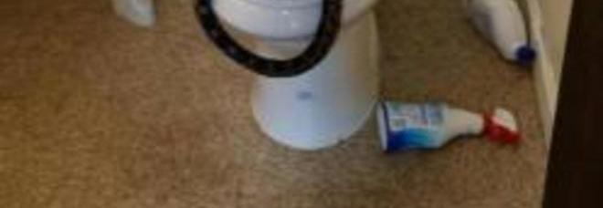 ALTRO CHE LEGGENDE, IL SERPENTE SPUNTA DAVVERO DAL WATER. LA FOTO FA IL GIRO DEL WEB - GUARDA - 25/09/2014