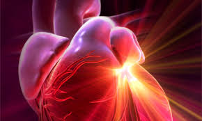 IL SEGRETO PER FAR STARE BENE IL CUORE: BASTANO 4 MINUTI AL GIORNO - 02/10/2014