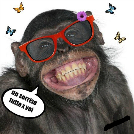 A TUTTI L'AMICI !! - 27/12/2012