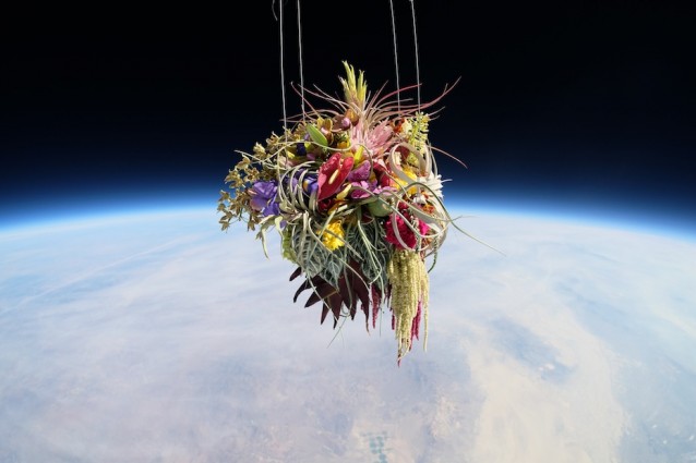UN LANCIO DEL BOUQUET DA FAR INVIDIA A QUALSIASI SPOSA, UN RECORD: ECCO COSA HANNO FATTO - 04/10/2014