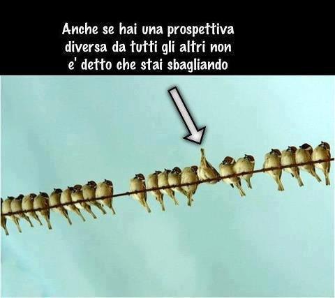 ME PIACE ESSE DIVERSO !! - 06/12/2012