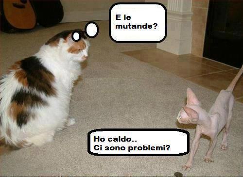 FATTE I FATTI TUA !! - 06/12/2012