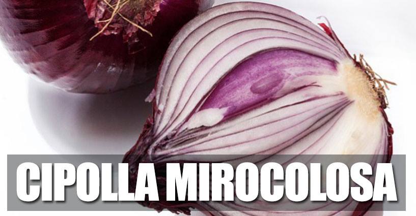FORSE NON LO SAPEVATE, MA LA CIPOLLA E' UN ALIMENTO DAVVERO PAZZESCO: EFFETTI MIRACOLOSI - 04/12/2014