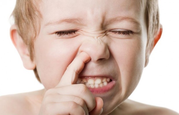 A COSA SERVONO LE CACCOLE E PERCHE' MANGIARLE FA BENE ALLA SALUTE - 19/01/2015