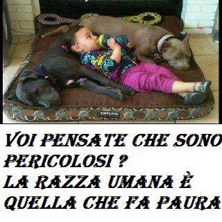 NUN FA 'NA PIEGA !! - 08/12/2012