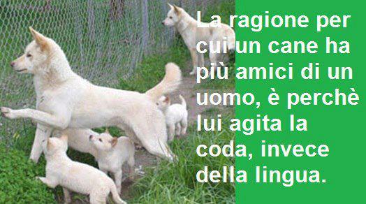 QUESTO E' ER MOTIVO !! - 08/12/2012