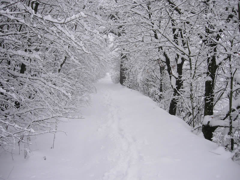 ALLERTA METEO: PIOGGIA, TEMPORALI E NEVE A BASSA QUOTA AL CENTRO-SUD - PREVISIONI - 29/01/2015
