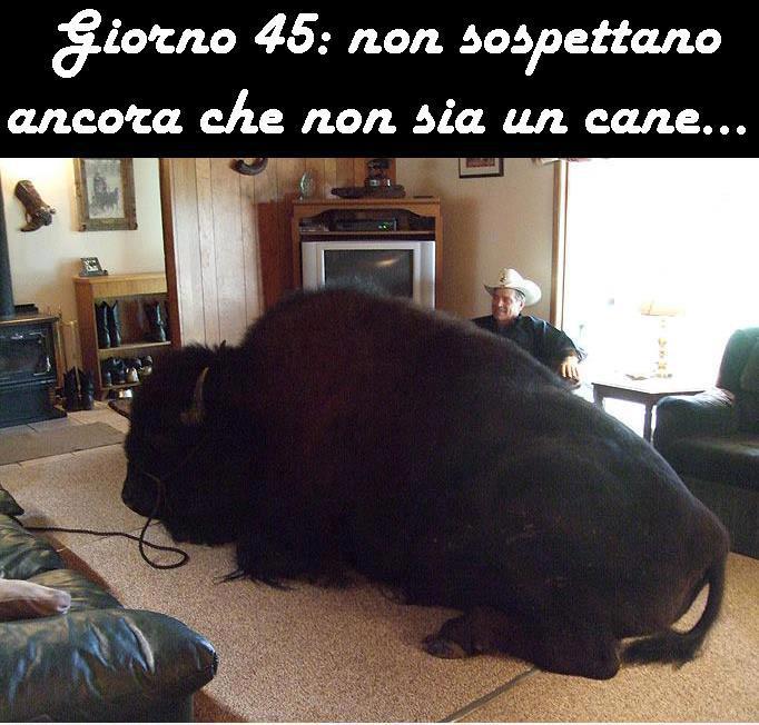 FINCHE' CE CREDE !! - 09/12/2012