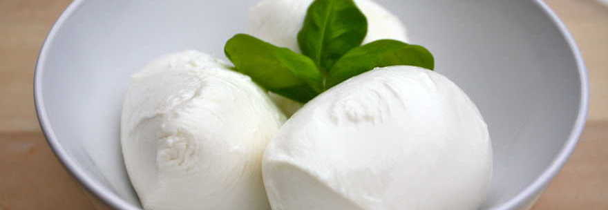 CONGELARE IL LATTE DI BUFALA PER OTTENERE OVUNQUE UNA MOZZARELLA SUPER? ORA SI PUO' - LEGGI - 19/06/2015