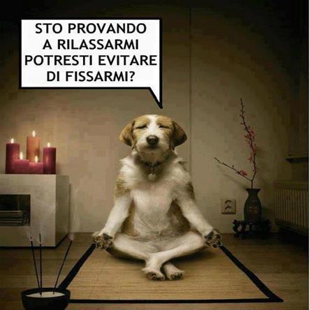 NUN ME FISSA' !! - 09/12/2012