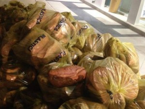 SCANDALO ALL'EXPO: L'ASSURDA SCOPERTA NEI SACCHI DI PLASTICA ABBANDONATI - 06/05/2015