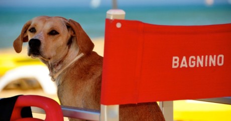 IN SPIAGGIA CON IL NOSTRO AMICO CANE: ECCO TUTTI GLI STABILIMENTI 'DOG-FRIENDLY' IN ITALIA - 09/05/2015