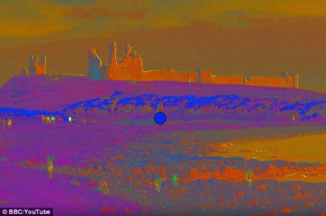 I COLORI E L'ESPERIMENTO CHE INGANNA IL CERVELLO: FISSATE IL PALLINO BLU AL CENTRO. POI... - GUARDA - 19/11/2015