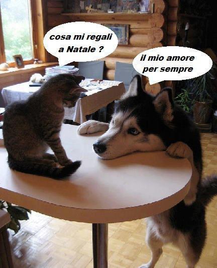 'NA BELLA DEDICA !! - 26/12/2012