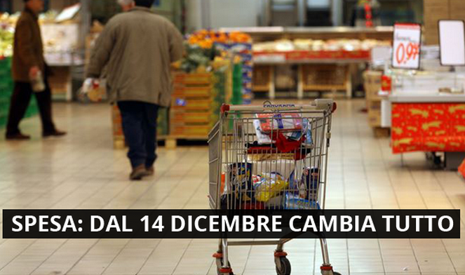 SPESA: DAL 14 DICEMBRE CAMBIA TUTTO: ECCO COME - 15/11/2014
