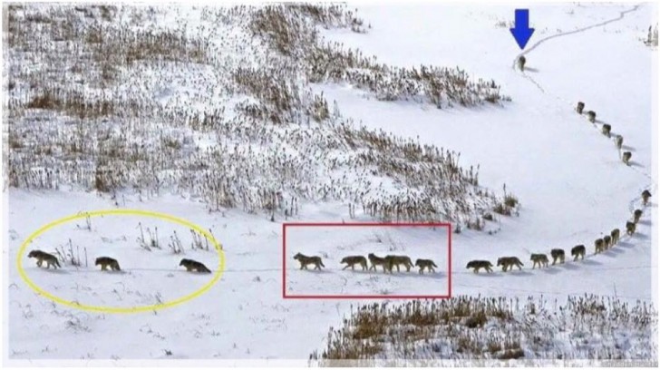 QUESTA FOTO E' STATA AMPIAMENTE CRITICATA, MA IL SUO SIGNIFICATO E' UNA GRANDE LEZIONE PER TUTTI - 26/02/2016