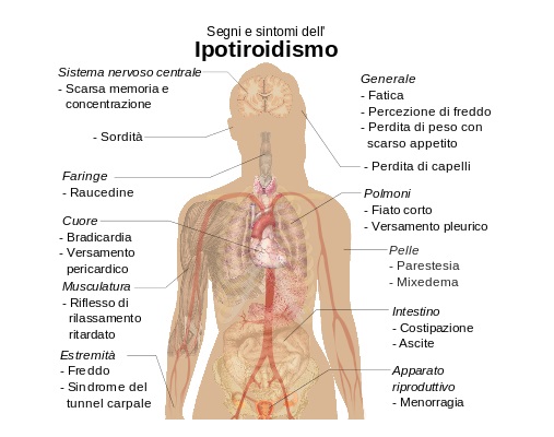 SOFFRI DI IPOTIROIDISMO? SCOPRILO VELOCEMENTE CON QUESTO BREVE TEST - 23/05/2016