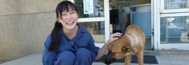 SOPPRIMEVA CANI RANDAGI PER LAVORO, INSULTATA SUL WEB SI TOGLIE LA VITA CON LO STESSO FARMACO - 25/05/2016