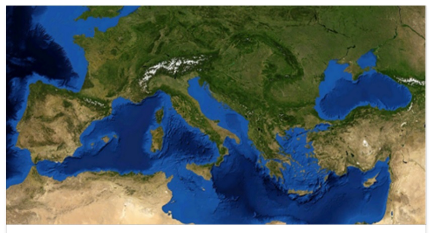 ATTENZIONE ALL'ALGA TOSSICO: SCATTA L'ALLARME NEI MARI ITALIANI - ECCO COME RICONOSCERLA - 26/07/2016