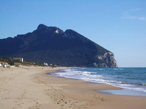 SONO VENUTE A GALLA NELLE ACQUE DI SABAUDIA: SCATTA L'ALLARME DEI BAGNANTI - 31/07/2016