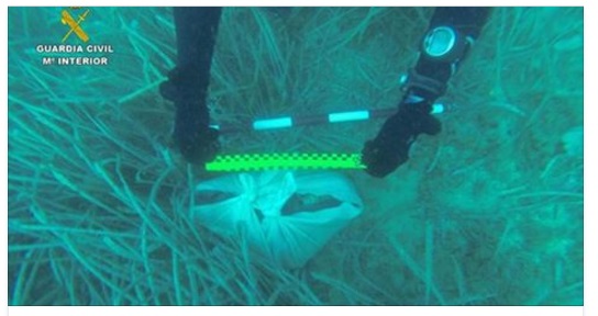 SUB TROVA UN SACCHETTO DI PLASTICA SUL FONDO DEL MARE: POI LA MACABRA SCOPERTA - 07/09/2016