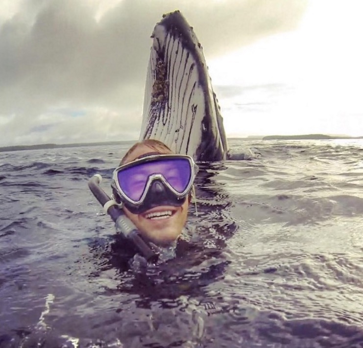 IL SELFIE DEL SUB CHE NUOTA CON LA BALENA FA IL GIRO DEL MONDO E DIVENTA VIRALE - 19/09/2016