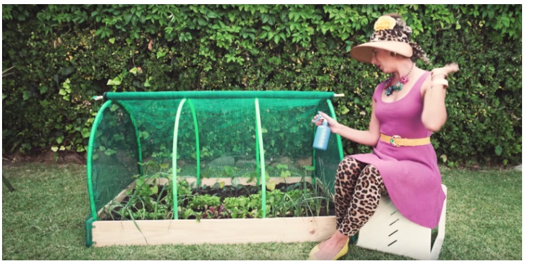 INCREDIBILE SERRA DA GIARDINO FAI DA TE: REALIZZATA CON HULA HOOP - VIDEO - 27/09/2016