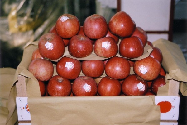 LE MELE ANNURCHE POSSONO SALVARTI LA VITA: ECCO COS'E' STATO SCOPERTO - 28/09/2016