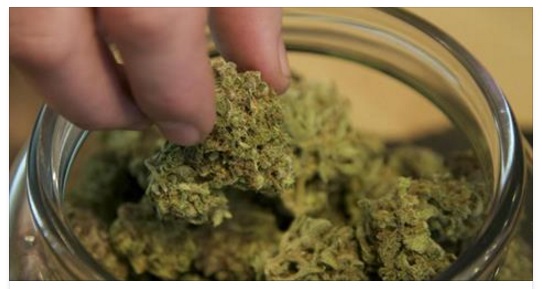 ROMA - HA IL SUO PRIMO CANAPA CAFFE': ''UNA SALA PER FUMARE CANNABIS TERAPEUTICA'' - 03/10/2016