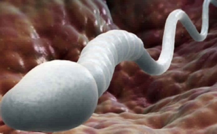 GLI SCIENZIATI HANNO TROVATO IL SEGRETO PER RIMANERE GIOVANI: E' NEL SEXXO ORALE - ECCO PERCHE' - 10/10/2016