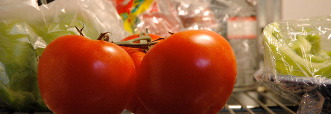 NON METTETE MAI I POMODORI IN FRIGORIFERO: ECCO IL PERCHE' - 20/10/2016