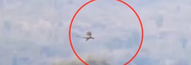 ''E' UN DRAGO CHE VOLA TRA LE MONTAGNE''. ''NO, E' UNO PTERODATTILO'': L'AVVISTAMENTO E' INSPIEGABILE - VIDEO - 20/10/2016