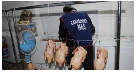 MANGI SUSHI A 10 EURO ''TUTTO INCLUSO''? E' PURO VELENO: GUARDATE LA SCOPERTA DEI VETERINARI - VIDEO - 25/10/2016