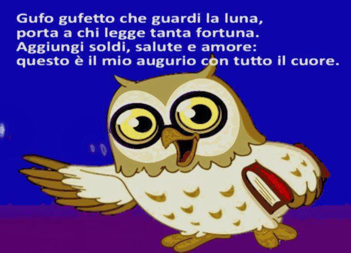 Immagine Divertente - 22/01/2013