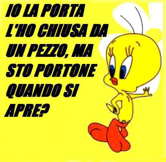 Immagine Divertente - 22/01/2013