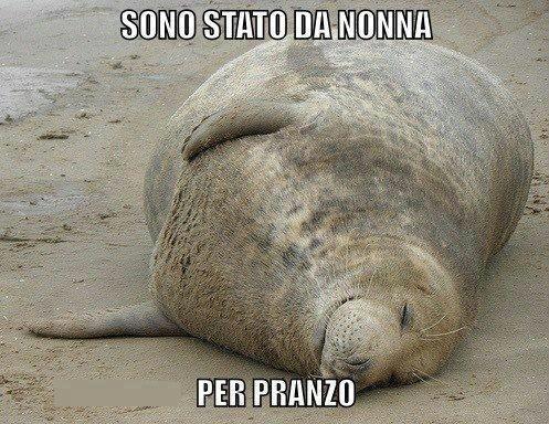 Immagine Divertente - 22/01/2013