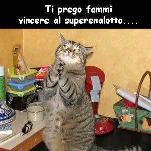 Immagine Divertente - 22/01/2013