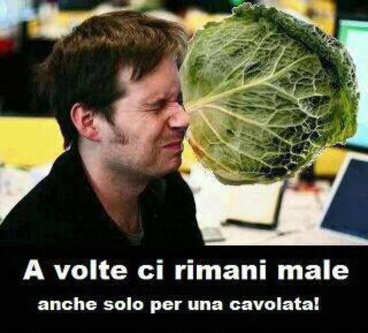 Immagine Divertente - 01/02/2013