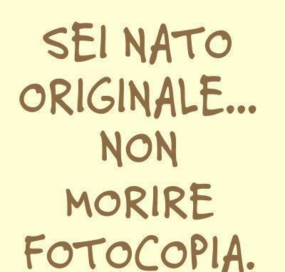 Immagine Divertente - 01/02/2013