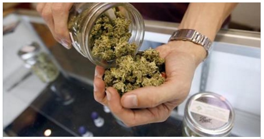 CANNABIS TERAPEUTICA, DA GENNAIO IN VENDITA NELLE FARMACIE ITALIANE: ECCO CHI PUO' COMPRARLA - 12/12/2016