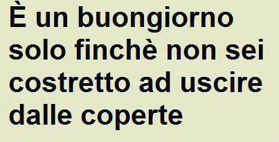 Immagine Divertente - 04/02/2013