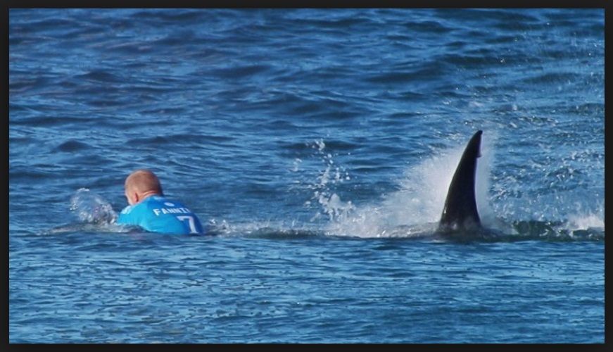 LO SQUALO ATTACCA IL CAMPIONE DI SURF FANNING: IL VIDEO SHOCK - 13/12/2016