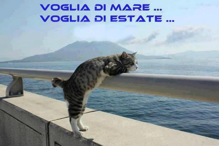 Immagine Divertente - 04/02/2013