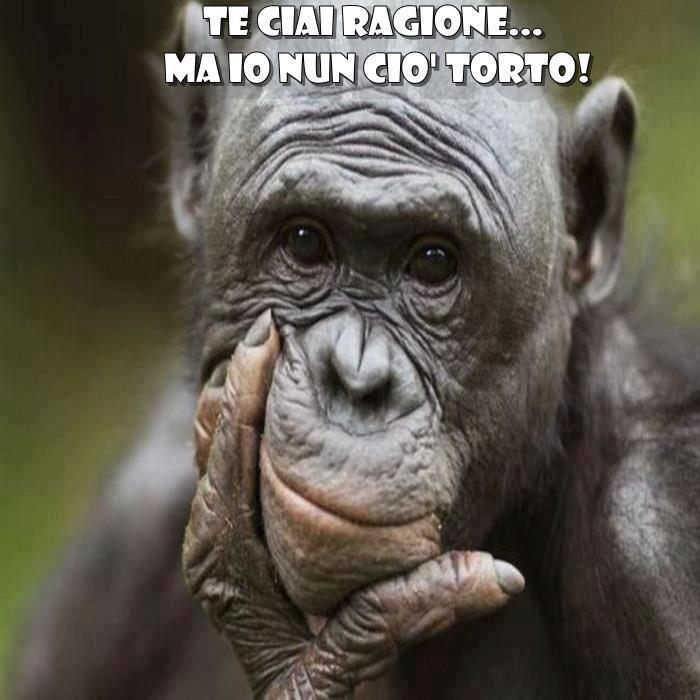 Immagine Divertente - 04/02/2013