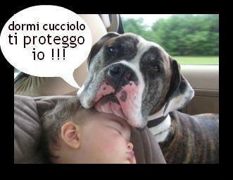 Immagine Divertente - 04/02/2013